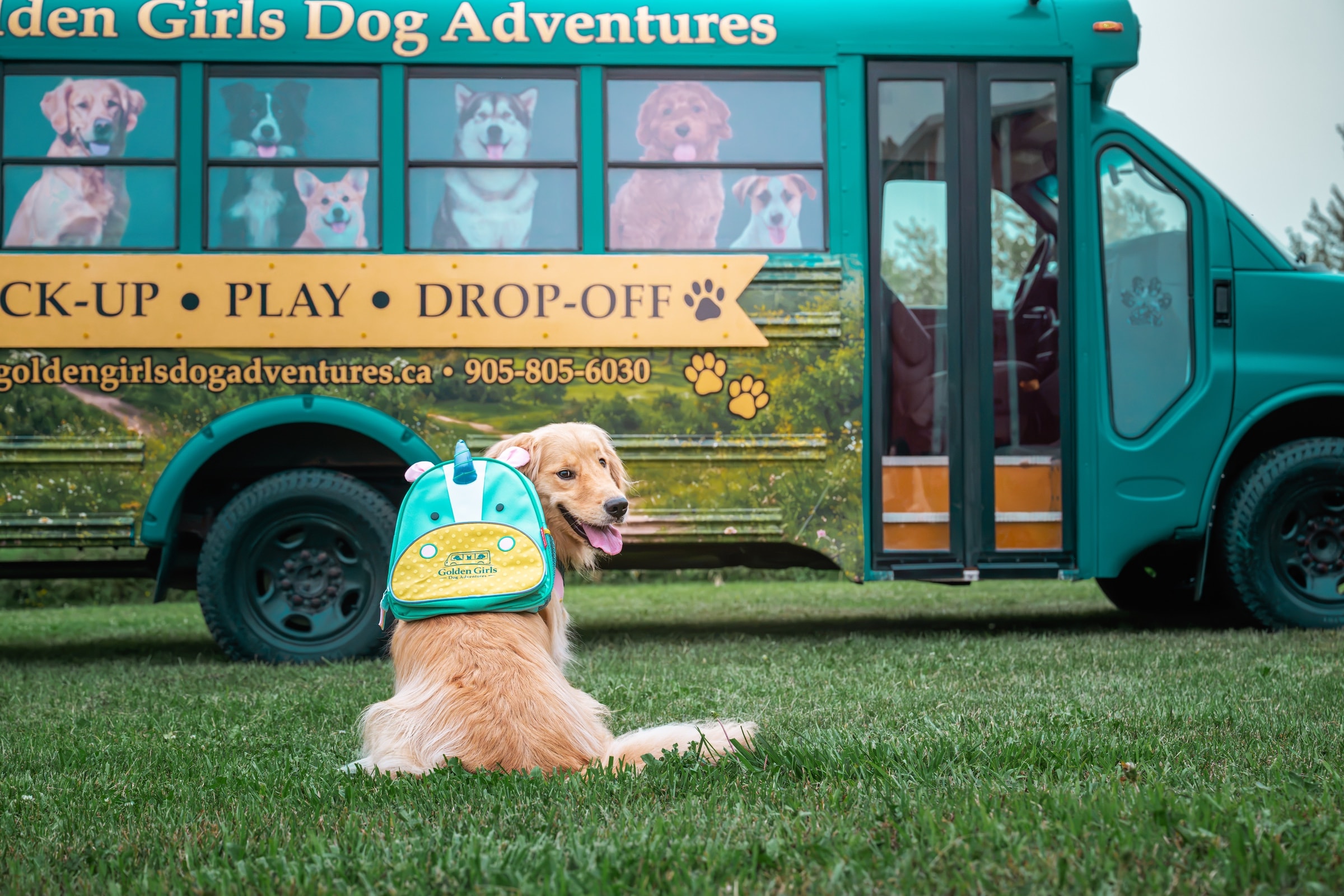 Golden Girls Dog Adventures Bus